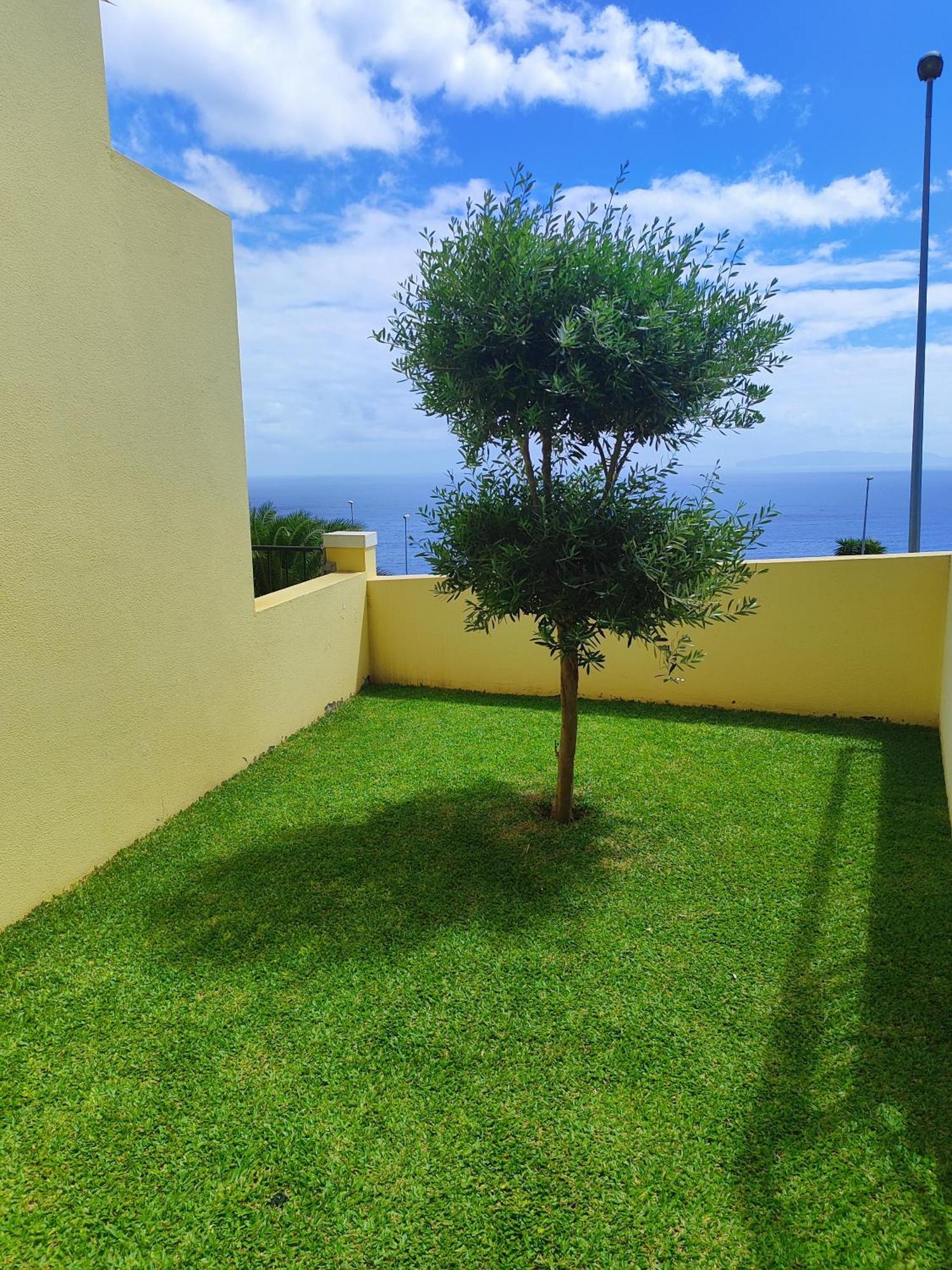 Sun Hill Apartment Santa Cruz  Dış mekan fotoğraf
